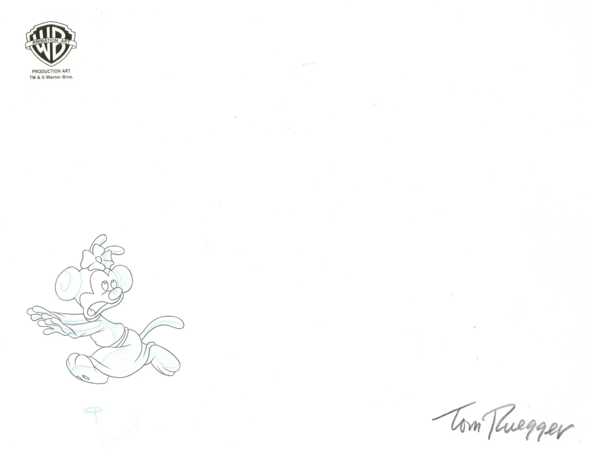Pinky and the Brain Original Production Cel and Drawing Signed by Tom Ruegger: Wakko, Yakko, Dot